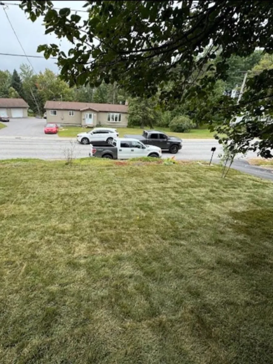 Freshly installed sod lawn by Edwards Landscape and Construction at a North Bay home